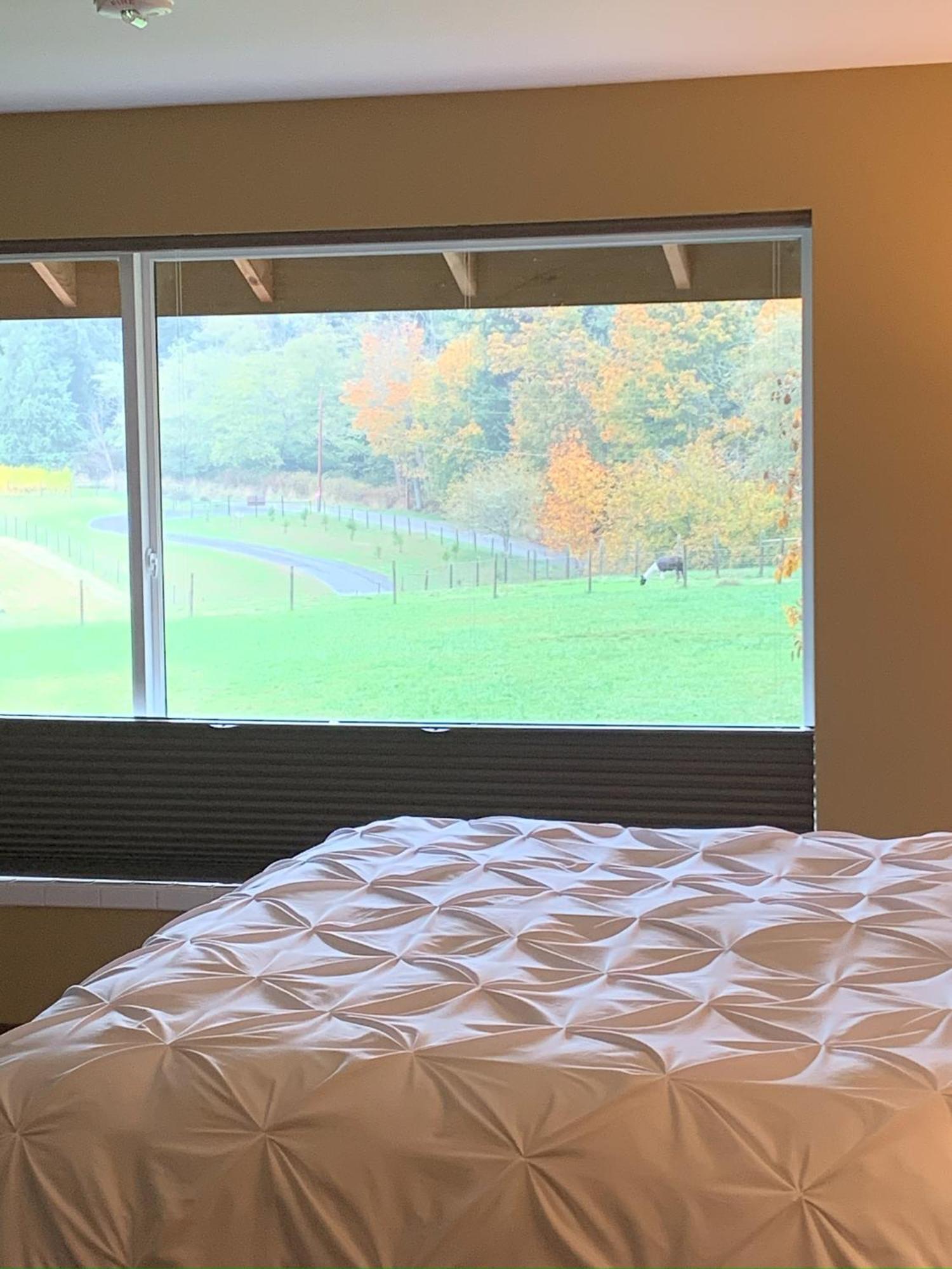 Comforts Of Whidbey Ленлі Екстер'єр фото
